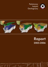 Raport 2005 - 2006 - PaÅstwowy Instytut Geologiczny