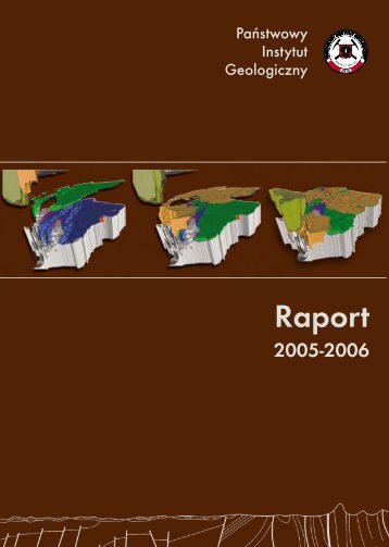 Raport 2005 - 2006 - PaÅstwowy Instytut Geologiczny