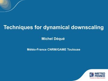 Techniques for dynamical downscaling