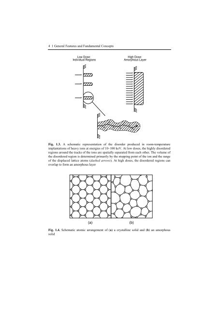 Ion Implantation and Synthesis of Materials - Studium