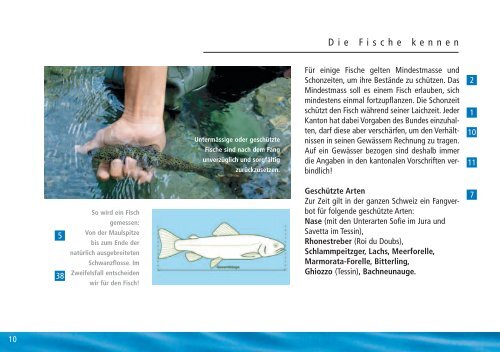 SACHKUNDE FISCHEREI - Fishfinder.ch