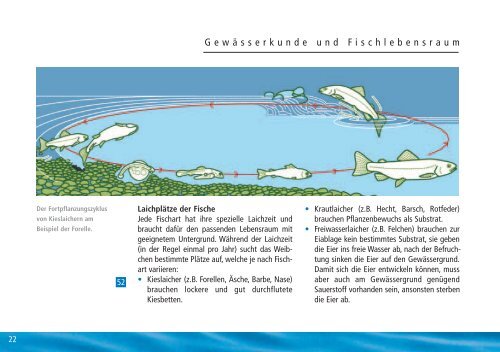 SACHKUNDE FISCHEREI - Fishfinder.ch