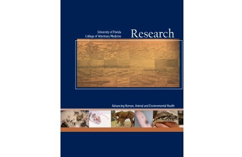 College of Veterinary Medicine Research Brochure