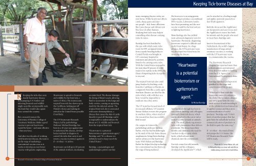 College of Veterinary Medicine Research Brochure