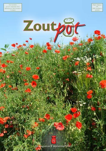 Zoutpot nr. 71 - juli 2013 - Stad Zoutleeuw