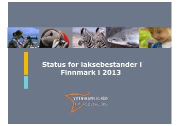 Status for laksebestander i Finnmark i 2013 - Norske Lakseelver