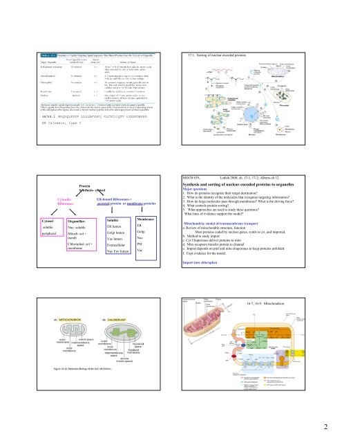 Importance of Protein sorting Cell organization depend on sorting ...