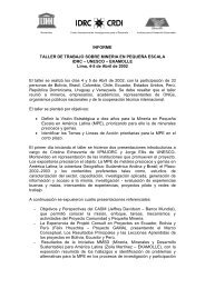 informe taller de trabajo sobre mineria en pequeÃ±a - Alianza por la ...