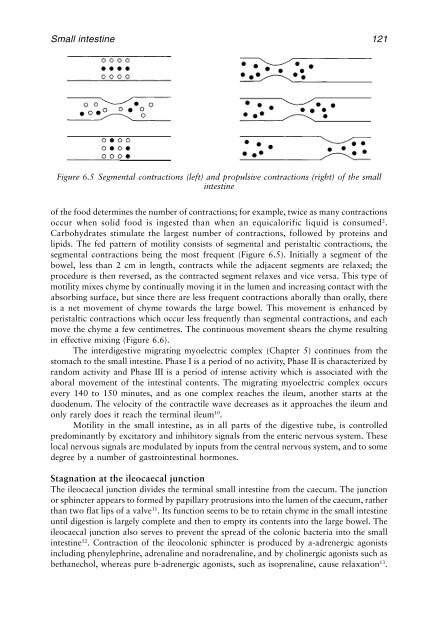 Physiological Pharmaceutics