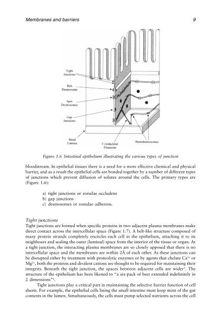 Physiological Pharmaceutics