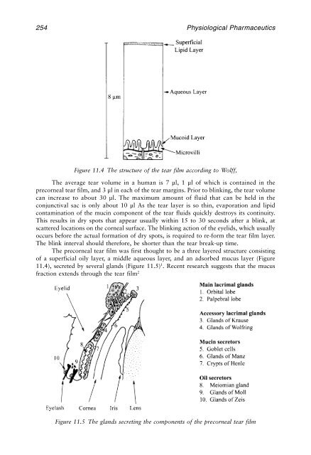 Physiological Pharmaceutics