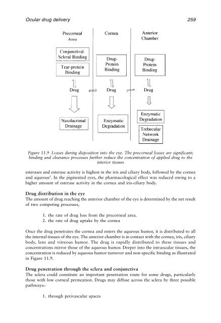 Physiological Pharmaceutics