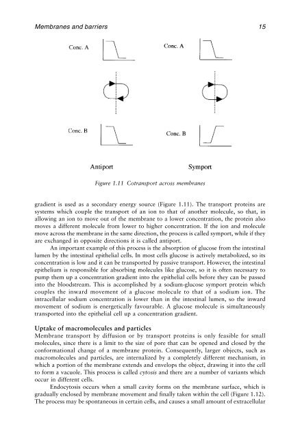 Physiological Pharmaceutics