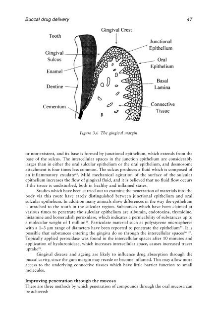 Physiological Pharmaceutics