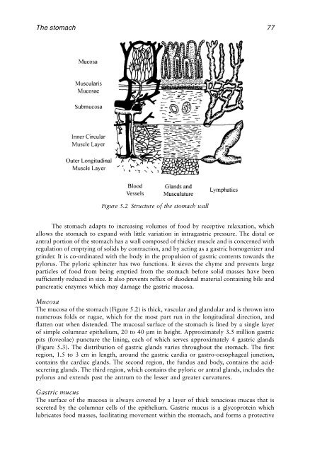 Physiological Pharmaceutics