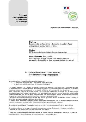 Document d'accompagnement MP5 - ChloroFil