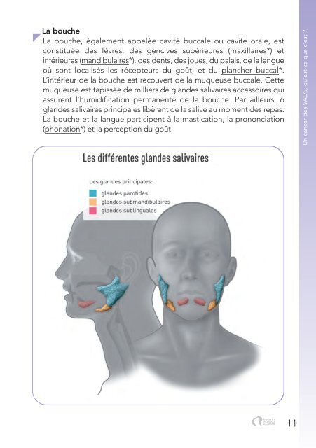 4 pages - Institut National Du Cancer