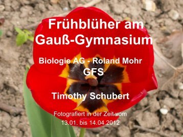 GFS von Timothy Ã¼ber die FrÃ¼hblÃ¼her am Carl-Friedrich-GauÃ ...