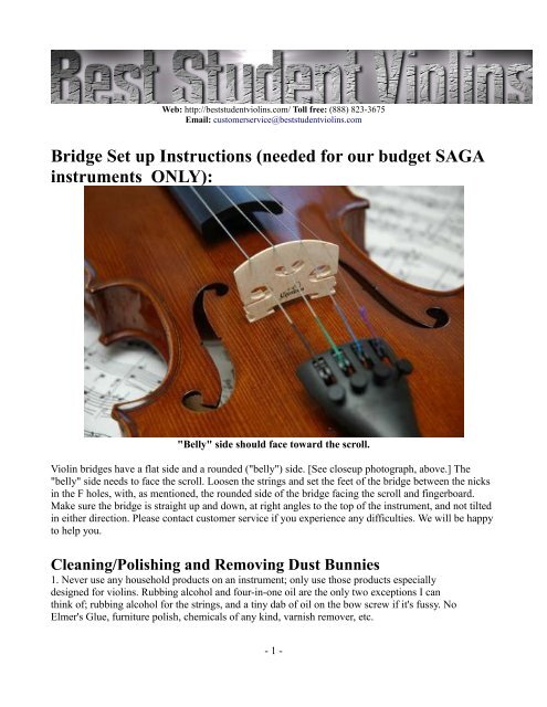 Bridge Setup and Maintenance of Violins/Violas - Best Student Violins