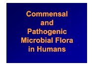 Commensal and Pathogenic Microbial Flora