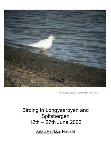 Birding in Spitsbergen.pdf - Tarsiger.com