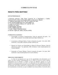 CURRICULUM VITAE RENATO PEÃA MARTINEZ - cicimar