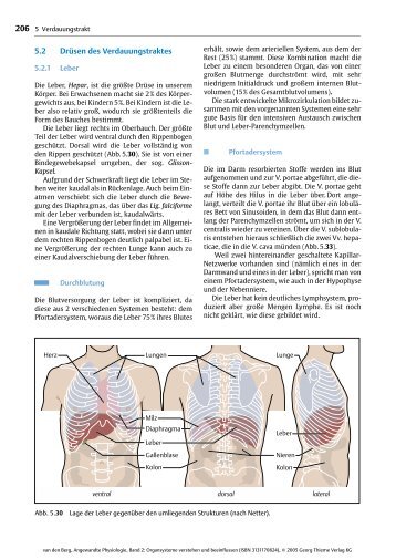 206 5.2 Drüsen des Verdauungstraktes