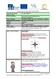 MateriÃ¡l pro domÃ¡cÃ­ pÅÃ­pravu Å¾Ã¡kÅ¯: VY_09_Vla4E_6 NÃ¡zev ...