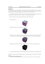 Menger Sponge Project1