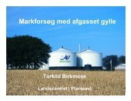 MarkforsÃ¸g med afgasset gylle