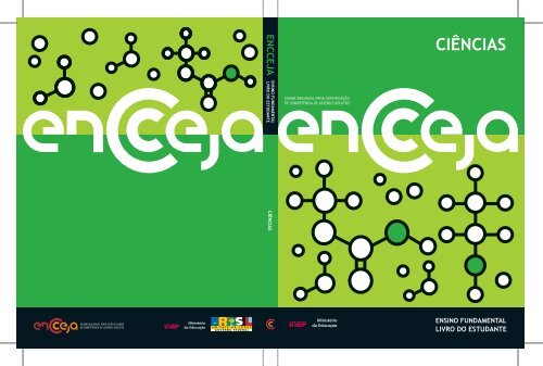 Planilha mostra fluxo de pagamentos a jogadores em esquema de manipulação  de jogos de futebol; VEJA, Goiás