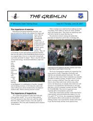 the gremlin 062807 - Minnesota Wing