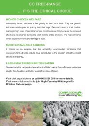 Free range leaflet - design - Compassion in World Farming