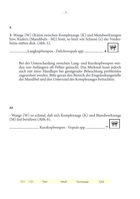 Wespen und Hornissen im Siedlungsumfeld Vereinfachter ...