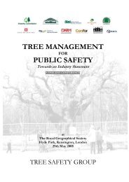 tree management public safety - Treework Environmental Practice