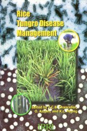 Rice tungro disease management - IRRI books - International Rice ...