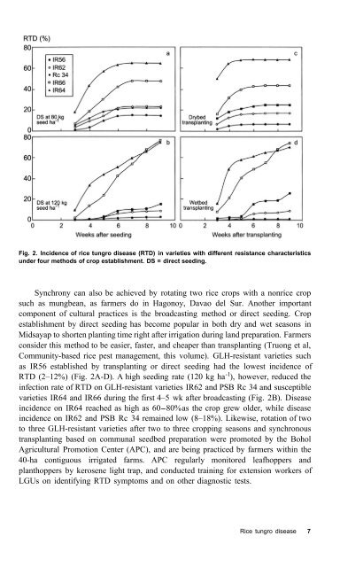 Rice tungro disease management - IRRI books - International Rice ...
