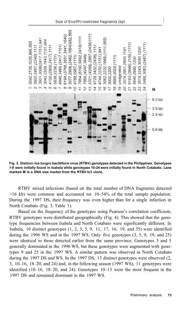 Rice tungro disease management - IRRI books - International Rice ...