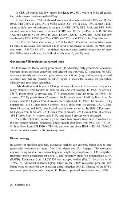 Rice tungro disease management - IRRI books - International Rice ...