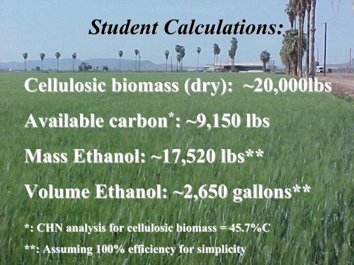 CHN Analyzer Labs in General Chemistry and Environmental ...