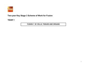 Two-year Key Stage 3 Scheme of Work for Fusion YEAR 1