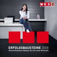 ERFOLGSBAUSTEINE 2008 - Wirtschaftskammer Salzburg