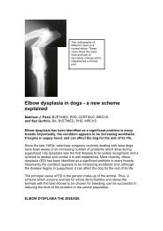 Elbow dysplasia in dogs - British Veterinary Association.