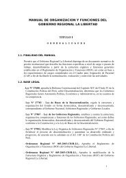manual de organizacion y funciones del gobierno regional