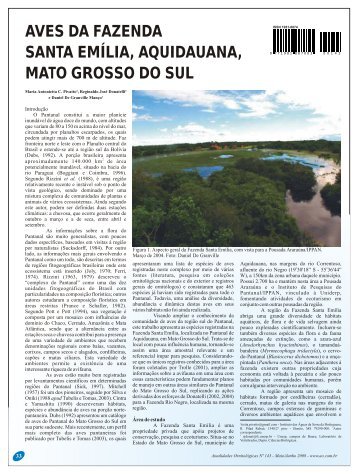 Aves da Fazenda Santa Emília, Aquidauana, Mato Grosso do Sul.