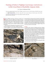 Nesting of Sykes's Nightjar Caprimulgus mahrattensis ... - Indian Birds