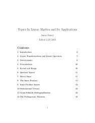 Topics In Linear Algebra and Its Applications - STEM2
