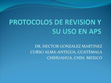 PROTOCOLOS DE REVISION