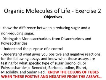 Organic Molecules of Life - Exercise 2 - Science Learning Center