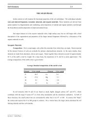 Soil Chemistry 2-1 THE SOLID PHASE - LAWR